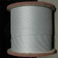 Galvanized Steel Wire Galvanized Wire